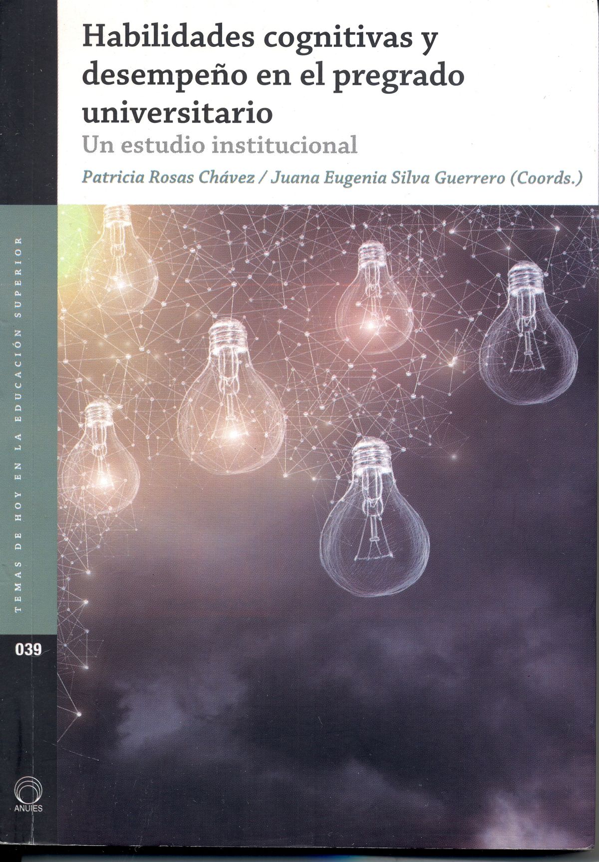 Habilidades cognitivas y desempeño en el pregrado universitario Un estudio institucional