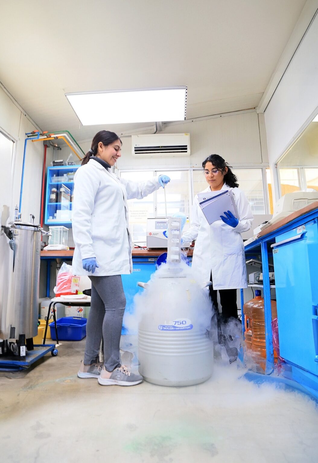 Investigadores trabajan en la disminución de agresividad de células de leucemia linfoblástica aguda