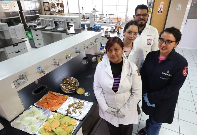 Investigadores del IPN convierten desechos en platos