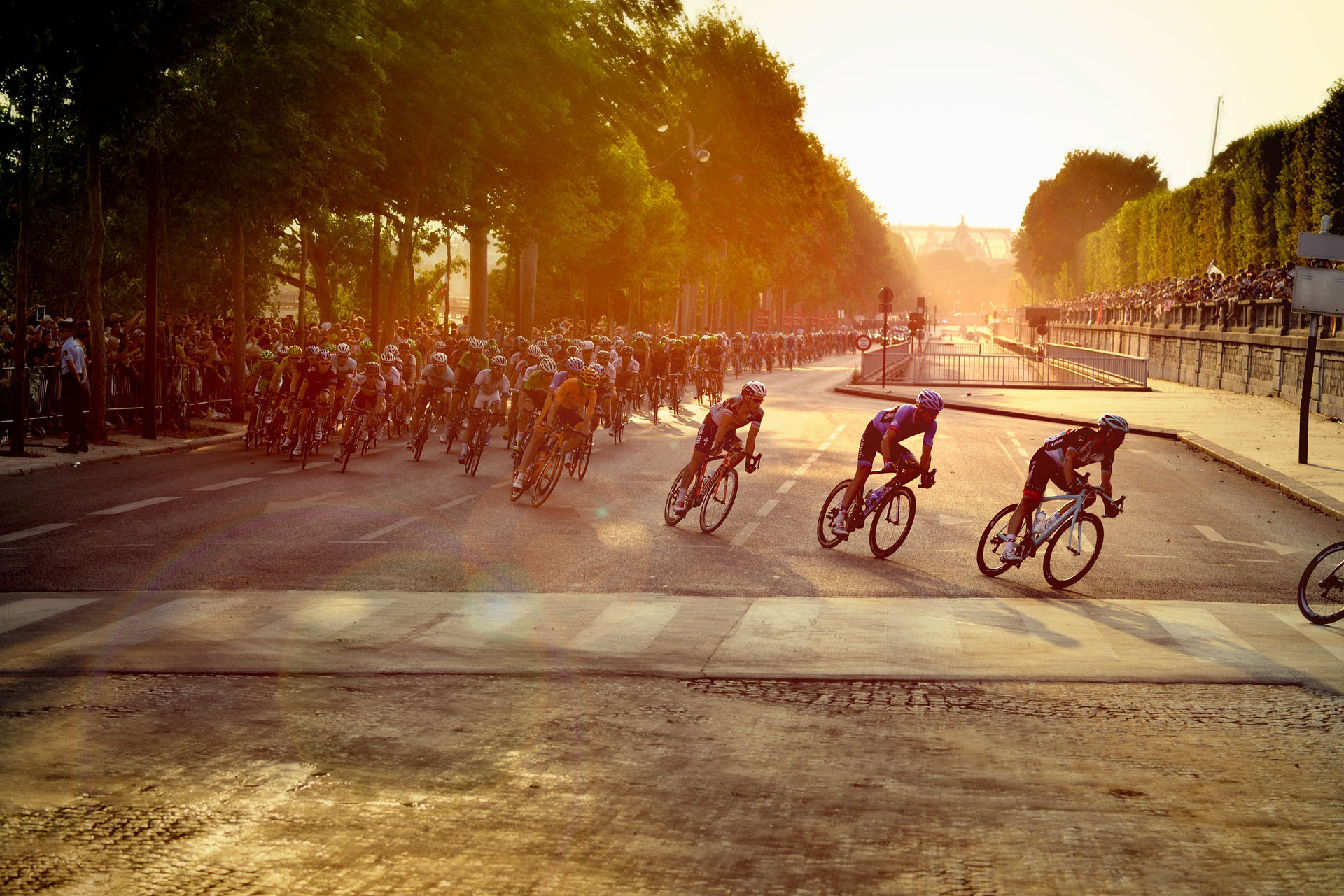 The 26 Min Season Review by Mike Mayers and Jon Smith is now online!